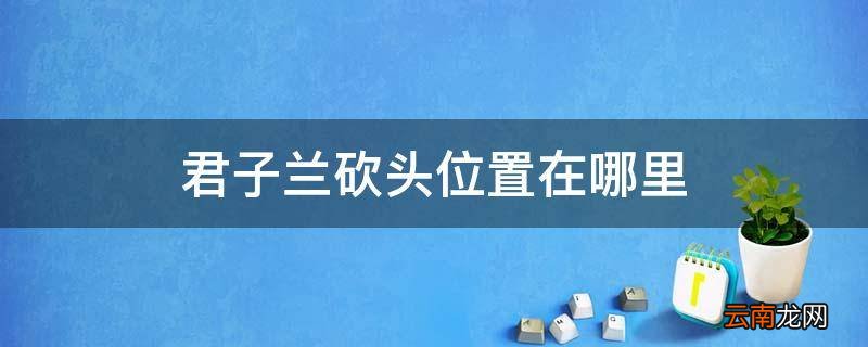 君子兰砍头位置在哪里