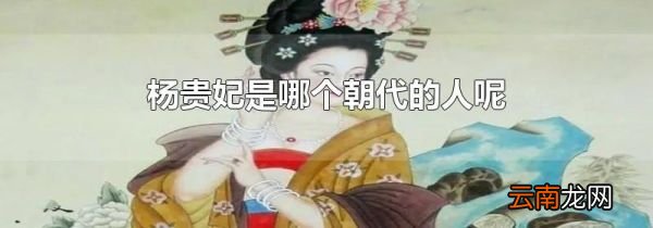 杨贵妃是哪个朝代的人呢