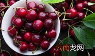车厘子什么季节成熟，车厘子成熟期是什么时候