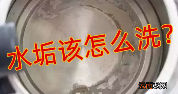 烧水壶的水垢怎么处理