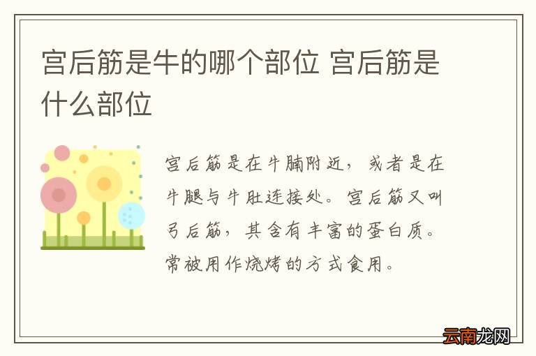 宫后筋是牛的哪个部位 宫后筋是什么部位