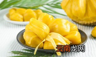 木菠萝成熟的季节是几月 木菠萝什么季节成熟
