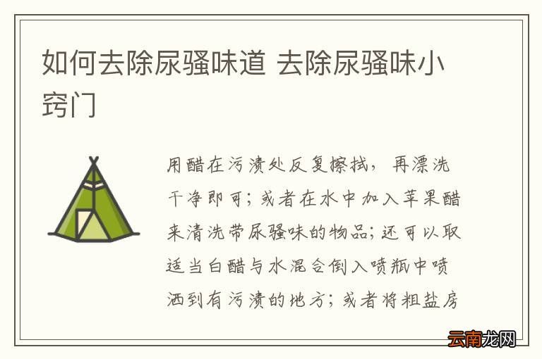 如何去除尿骚味道 去除尿骚味小窍门