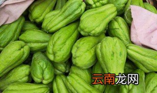 贵州的佛手瓜什么季节成熟 佛手瓜的种植季节