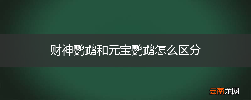 财神鹦鹉和元宝鹦鹉怎么区分