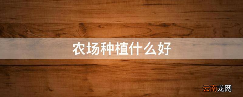 农场种植什么好