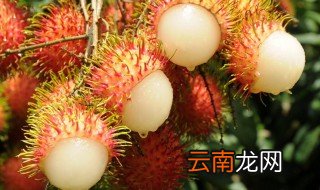 红毛丹什么时候应季 红毛丹什么季节成熟