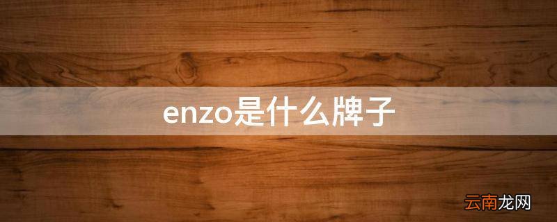 enzo是什么牌子