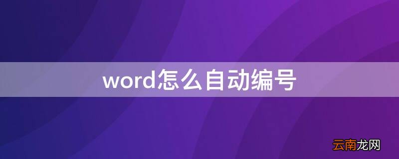 word怎么自动编号1234 word怎么自动编号