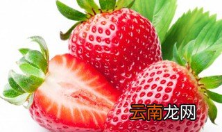 丹东草莓什么时候成熟季节 丹东草莓几月份成熟