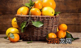 橘子跟桔子是什么关系 橘子跟桔子的关系