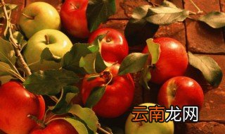 陕西咸阳苹果成熟期是什么时候 陕西苹果什么季节成熟