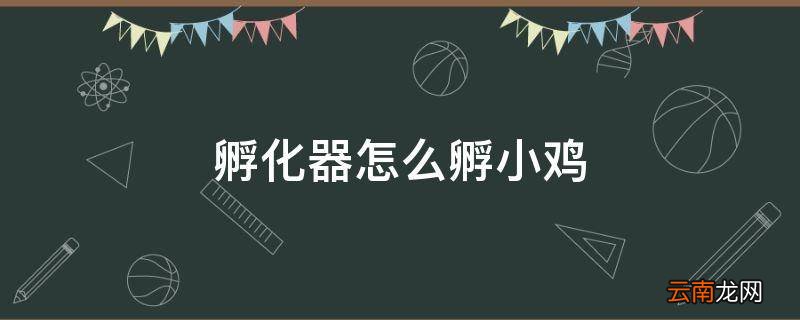 孵化器怎么孵小鸡