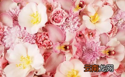 网上买的鲜花回来怎么泡好