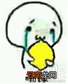 胡萝北什么梗？胡萝北是什么意思？