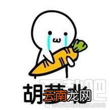 胡萝北什么梗？胡萝北是什么意思？
