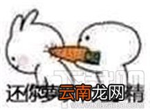 胡萝北什么梗？胡萝北是什么意思？