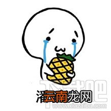 胡萝北什么梗？胡萝北是什么意思？