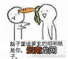 胡萝北什么梗？胡萝北是什么意思？