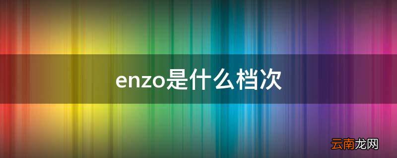 enzo是什么档次