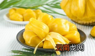 菠萝菠萝蜜怎么剥开 菠萝蜜应该怎么剥开
