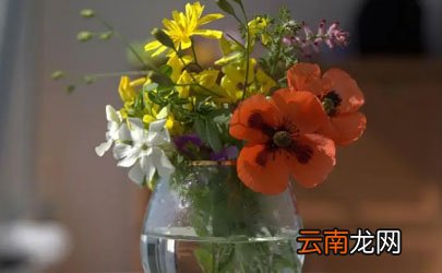 网上买的鲜花要醒花多久