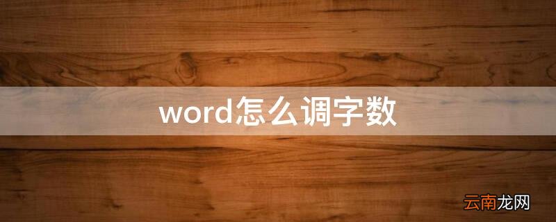 word文档字数怎么设置 word怎么调字数