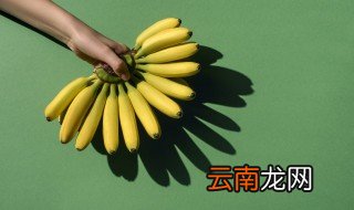 香蕉是什么季节成熟的 香蕉是什么月份成熟的