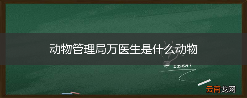 动物管理局万医生是什么动物