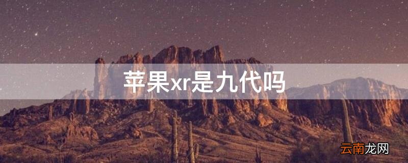 苹果9xr iPhonexr是九代吗