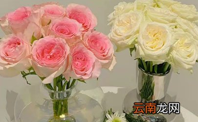 网上买的鲜花醒花后需要再剪根部吗