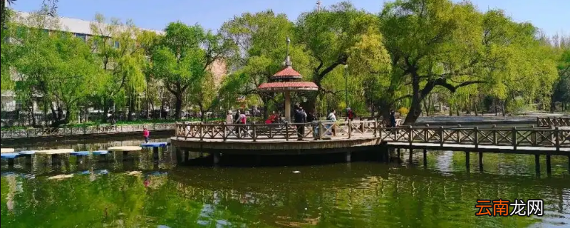 沈阳南湖公园有卖渔具的么