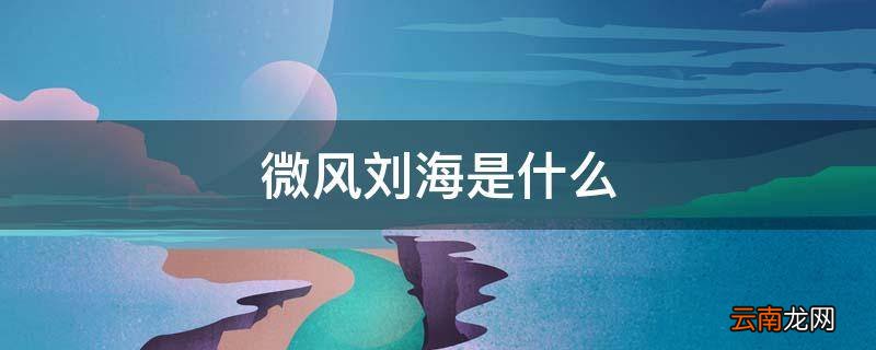 微风刘海是什么