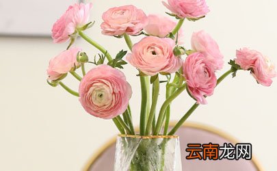 网购鲜花如果不醒花能放多久
