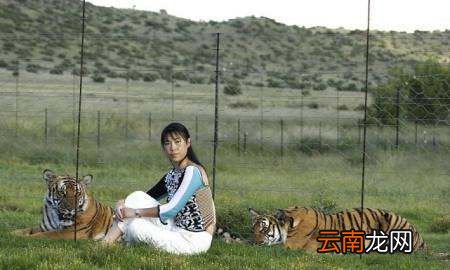 为什么非洲没有老虎