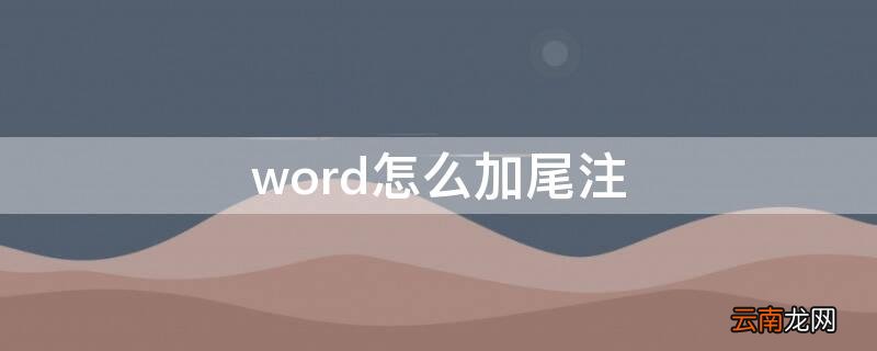 word怎么修改尾注编号格式 word怎么加尾注