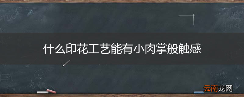 什么印花工艺能有小肉掌般触感