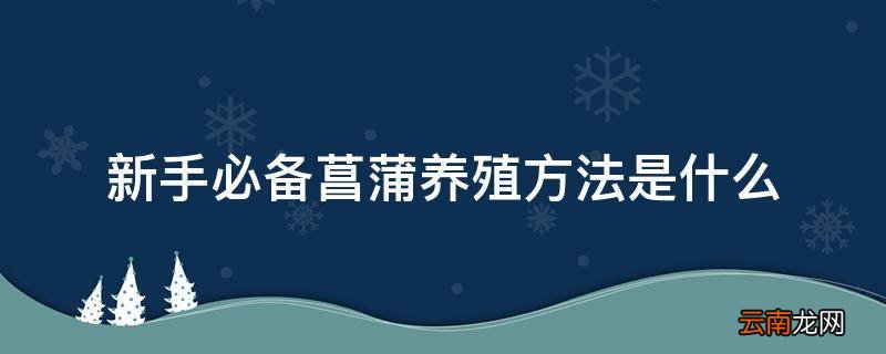 新手必备菖蒲养殖方法是什么