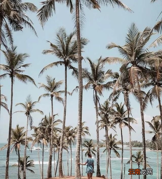 斯里兰卡自由行景点,斯里兰卡狮子岩附近的景点