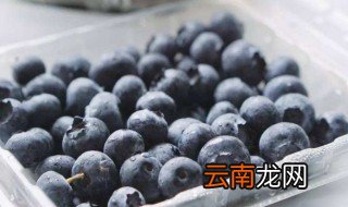 蓝莓是整个吃下去吗 蓝莓是不是整个吃下去
