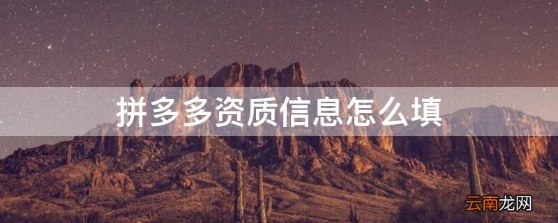 拼多多资质信息怎么填 拼多多资质信息怎么填写