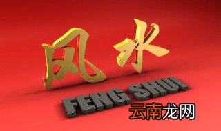 发财树庭院摆放位置 发财树放庭院哪里最旺财