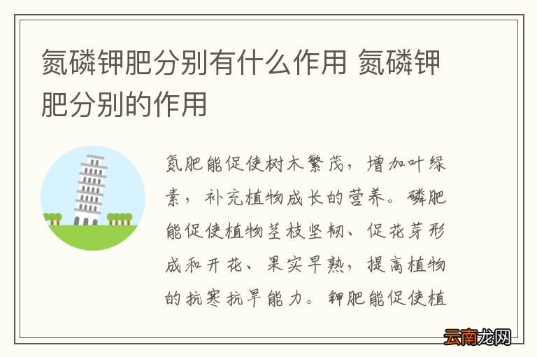氮磷钾肥分别有什么作用 氮磷钾肥分别的作用