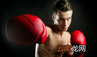 综合格斗和自由搏击有什么区别 综合格斗和自由搏击的区别