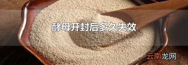 酵母开封后多久失效