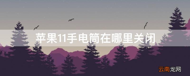 iPhone11手电筒在哪里关闭 iPhone12手电筒怎么关闭