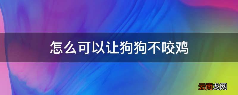 怎么可以让狗狗不咬鸡