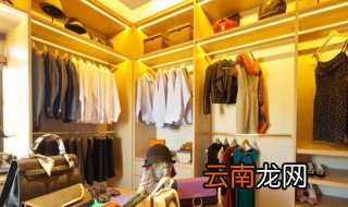 衣柜放什么代替樟脑丸 衣柜代替樟脑丸的东西