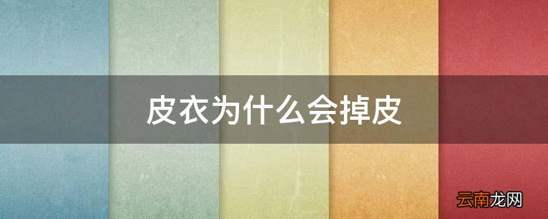 皮衣为什么会掉皮