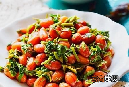春芽菜的做法怎么做好吃